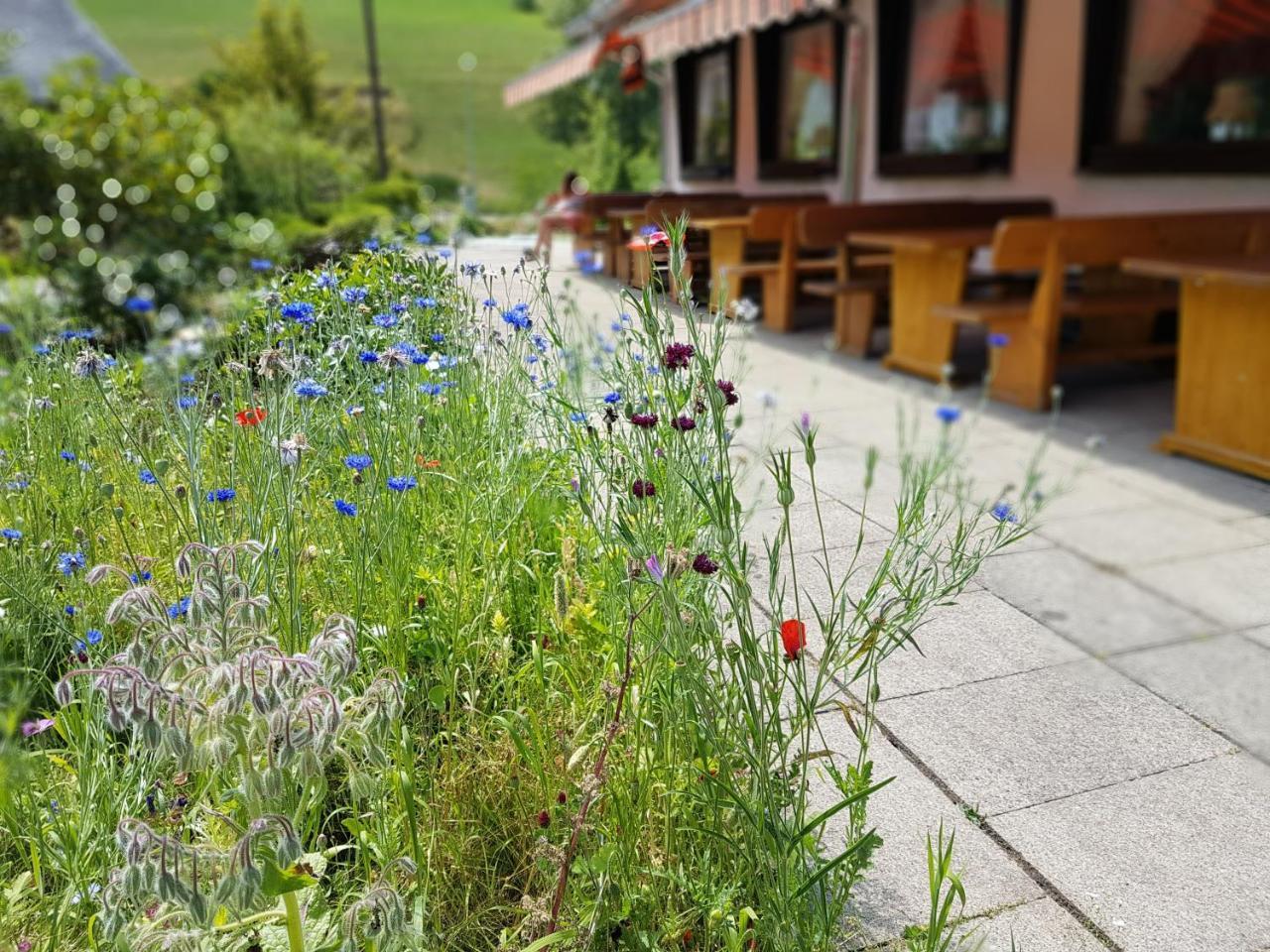 Hotel Landhaus Sonnenhof Todtnau Bagian luar foto